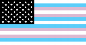 Transgender flag and American flag